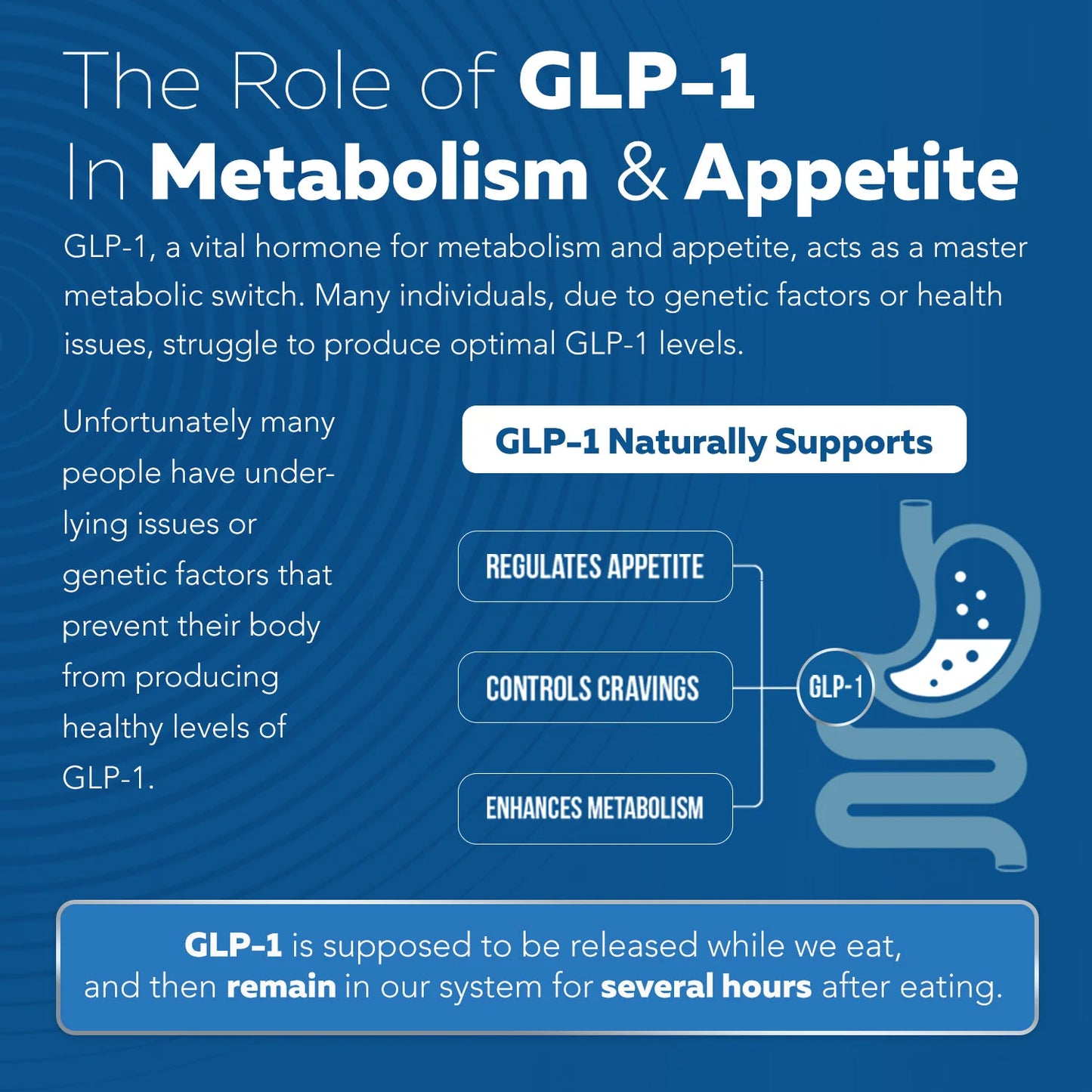 GLP-Activate: Natürliche GLP-1-Unterstützung